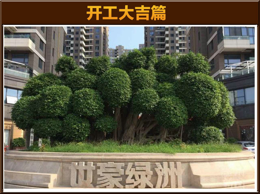 &#20061;&#24030;&#32593;&#39029;&#29256;&#45;&#20061;&#24030;&#40;&#20013;&#22269;&#41;&#95;&#20061;&#24030;&#40;&#20013;&#22269;&#41;